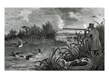Buy Engraving Of Duck Shooting at AllPosters.com