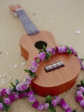 Ukelele and garland, elevated view