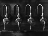 Anchor Steam #3 Photographic Print