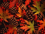 Autumn Leaves, Berries and Pinecones