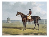 Buy Aquatint by Thomas Sutherland After St. Patrick, Winner 1820 at AllPosters.com