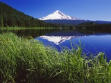 Buy Lakeside Grass and Mt. Hood at AllPosters.com