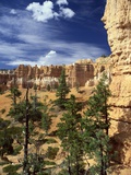 Hoodoos and Ponderosa Pines