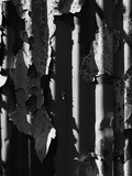 Peeling Corrugation #8