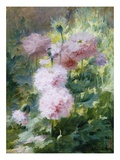 Buy Poppies at AllPosters.com