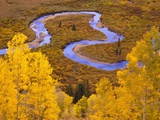 Buy Aspen Trees Before Meandering River at AllPosters.com