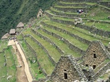 Terraced Fields at Machu Picchu