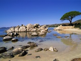 Palombaggia Beach