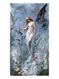 The Lily Fairy