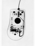 X-Ray of a Computer Mouse