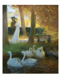 Buy A Couple and Swans at AllPosters.com