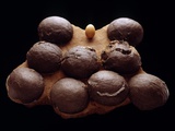 Buy Chicken Egg and Dinosaur Eggs at AllPosters.com