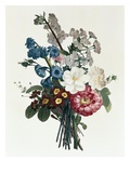 Buy Bouquet of Camellia and Auricula at AllPosters.com