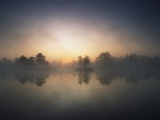 Buy Morning Mist and Sunrise along Wetlands at AllPosters.com