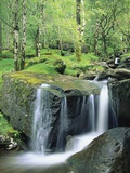 Gougane Barra Forest Park Waterfall