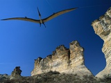 Pteranodon Longiceps Model in Flight