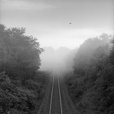 Buy RR Tracks at AllPosters.com