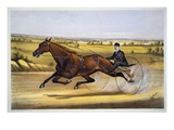 Buy Queen of the Turf, 'Maud S', Driven by W.W. Bair, Lithograph at AllPosters.com