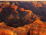 Grand Canyon Bathed in Sunlight