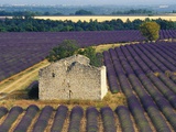 Buy Stone Structure in Lavender Field at AllPosters.com