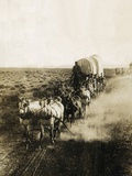 Covered Wagons on the Plains Going West