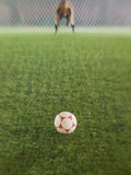 Goalie Anticipating Soccer Kick