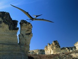 Pteranodon Longiceps in Flight