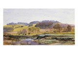 Springtime near Marden, Surrey, England