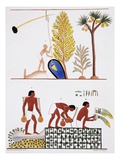 Buy Illustration of Egyptian Frescoes of a Well and a Garden by Frederic Cailliaud at AllPosters.com