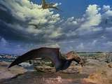 Depiction of Eudimorphon at Museum