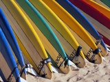 Row of Surfboards at Beach