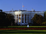 Buy The White House at AllPosters.com