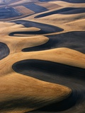 Buy Wheat Fields of the Palouse Hills at AllPosters.com