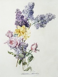 A Study of Lilac and Roses
