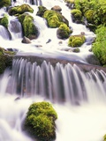 Mossy Rocks in Rushing Stream