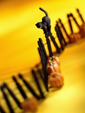 Buy Black Cat on Fence at AllPosters.com
