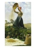 Buy Winnowing the Grain at AllPosters.com