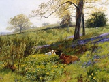 Near Dorking, Surrey, England