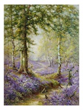 The Bluebell Wood Giclee Print