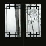 Trees Seen Through House Windows in Pingyao
