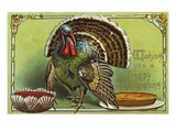 Wishing You a Happy Thanksgiving