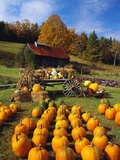 Buy Pumpkins at Produce Stand at AllPosters.com