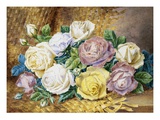 A Still Life of Roses