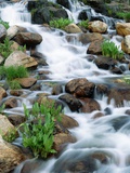 Buy Alpine Cascade at AllPosters.com