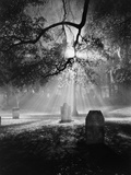 Buy Cemetery at Night at AllPosters.com