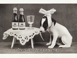 Oh! Such a Headache