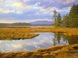 Bass Harbor Marsh and Western Mountain