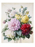 Buy Bouquet of Dahlias and Roses at AllPosters.com