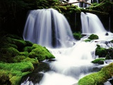 Buy Gifford Pinchot National Forest - Washington at AllPosters.com