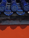 Roof Tiles in Forbidden City